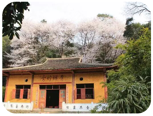 九江哪里看樱花 庐山方竹寺